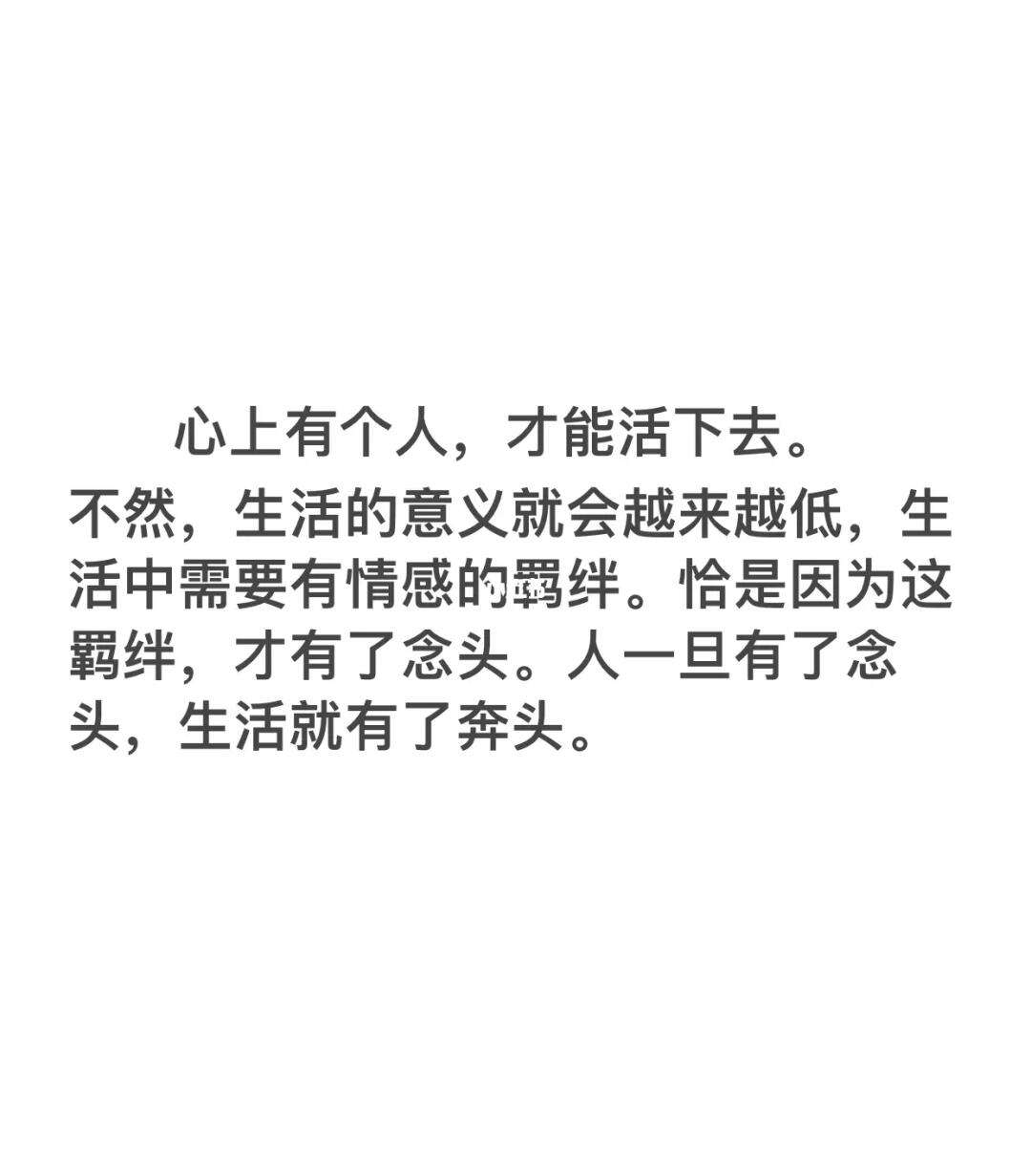 MK体育-球场上的白热战，我们为什么那么着迷