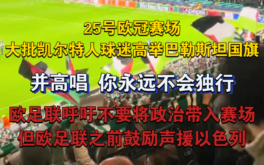 MK体育-顶级球员重回赛场，球迷狂热支持